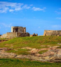 Sirène Galle Fort